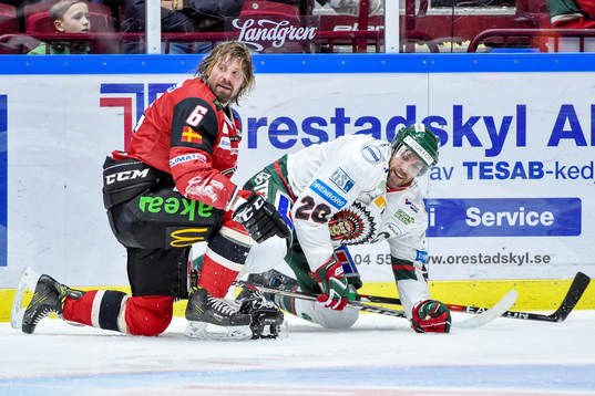 Malmö Redhawks Stefan Warg och Frölundas Joel Lundqvist