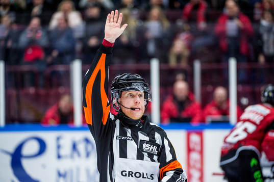 Domare Mikael Holm