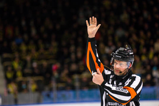 Domare Mikael Nord