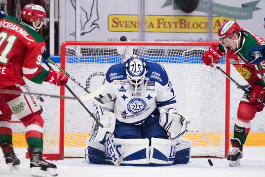 Leksands målvakt Tex Williamsson