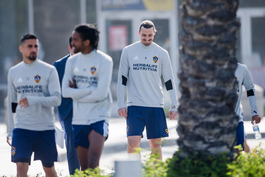 Zlatan Ibrahimovic