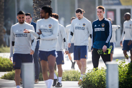 Zlatan Ibrahimovic