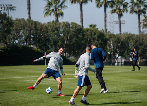 Zlatan Ibrahimovic