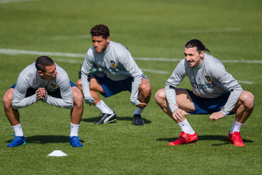 Zlatan Ibrahimovic