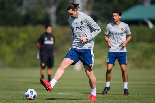 Zlatan Ibrahimovic