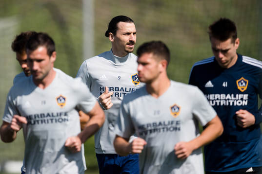 Zlatan Ibrahimovic