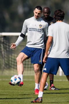 Zlatan Ibrahimovic