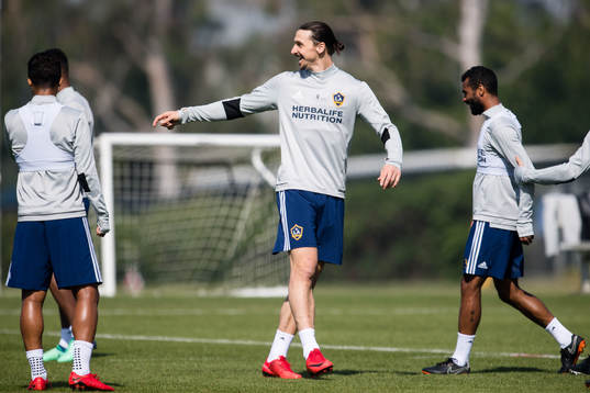 Zlatan Ibrahimovic