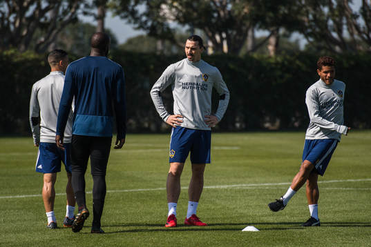 Zlatan Ibrahimovic