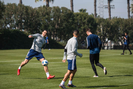 Zlatan Ibrahimovic