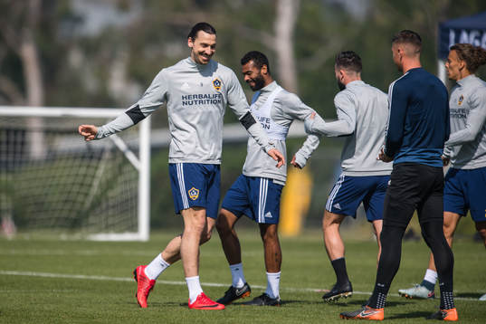 Zlatan Ibrahimovic
