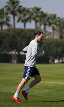 Zlatan Ibrahimovic