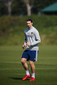 Zlatan Ibrahimovic
