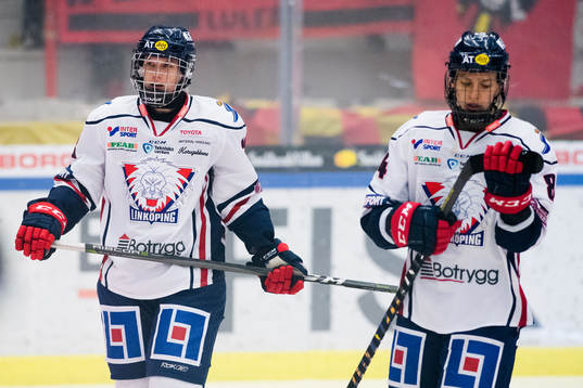 Linköpings spelare deppar
