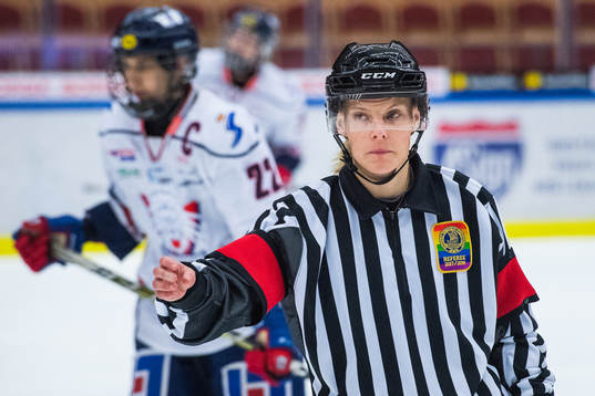 Domare Katarina Timglas