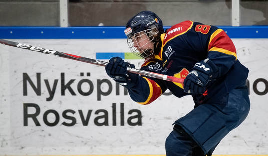 Djurgårdens Alexander Holtz