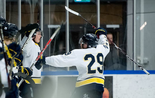Martin Jönsson i HV71 jublar