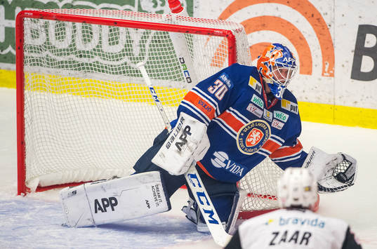 Växjös målvakt Viktor Fasth