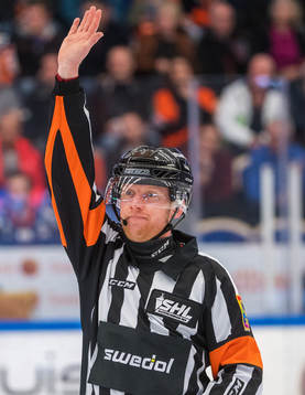 Domaren Mikael Holm