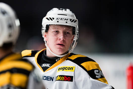 Skellefteås Ludvig Stenvall