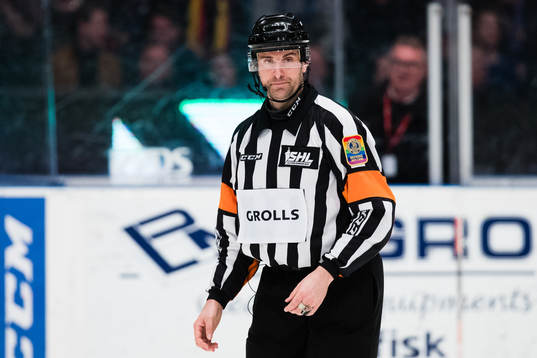 Domare Mikael Sjöqvist