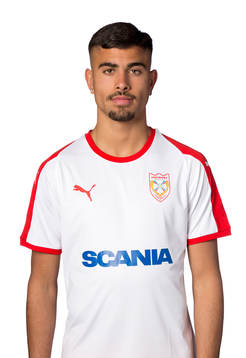 Assyriskas Roberto Varto