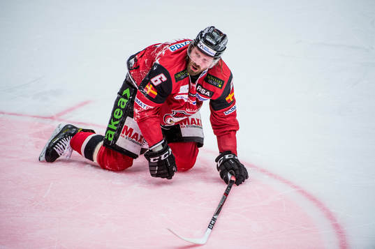 Malmö Redhawks Stefan Warg deppar