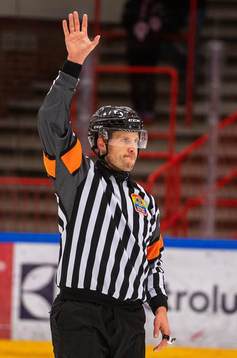 Domaren Johan Magnusson