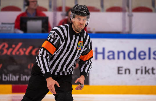 Domaren Johan Magnusson