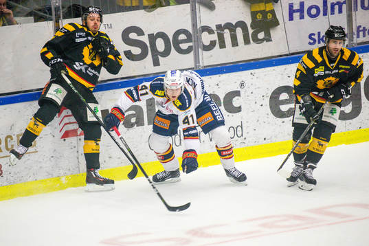 Skellefteås Henrik Hetta och Bud Holloway