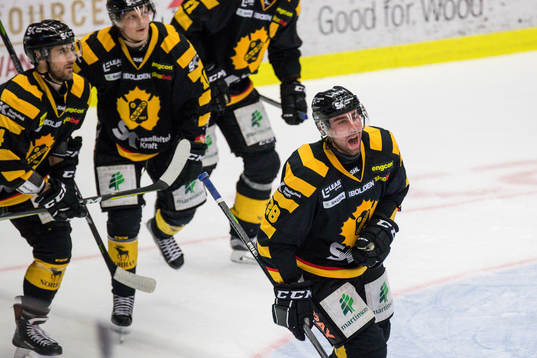 Skellefteås Johan Alm  jublar