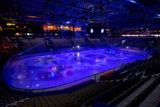 Vida Arena