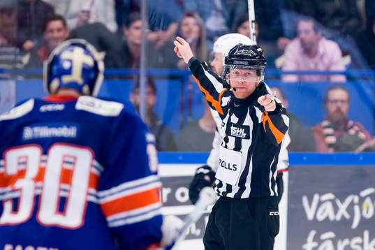 Domare Mikael Holm