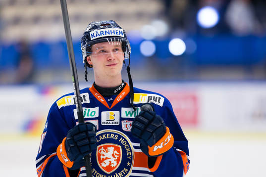 Växjös Elias Pettersson jublar