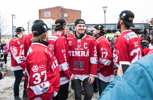 Timrå spelarna anländer när Timrå hyllas på torget i