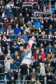 Supporters of Strømsgodset