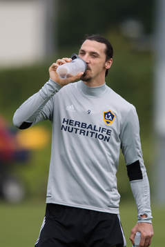 Zlatan Ibrahimovic dricker
