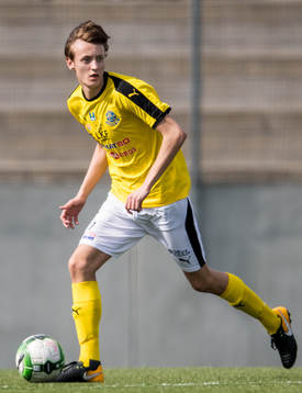 Lunds Carl Annerstedt Nedstam