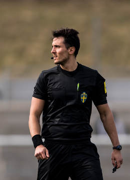 Domare Adi Aganovic