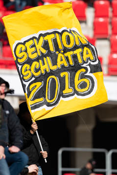Elfsborgs supporter med flagga
