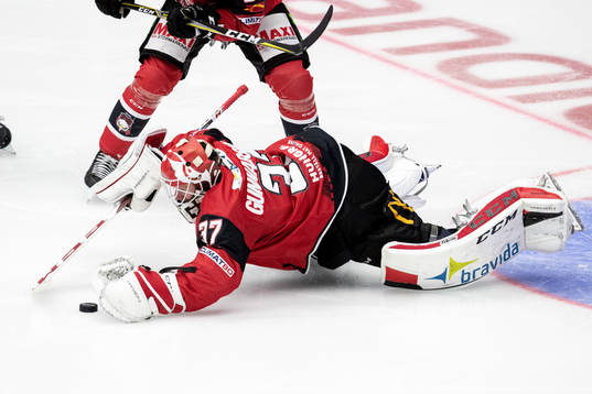 Malmö Redhawks målvakt Jonas Gunnarsson