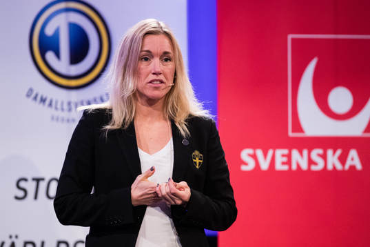 Domare Sara Persson
