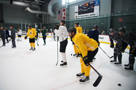 William Karlsson och Pierre Edouard Bellemare