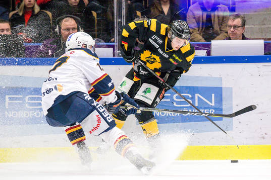 Skellefteås Tim Söderlund