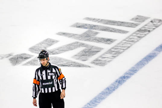 Domare Mikael Sjöqvist