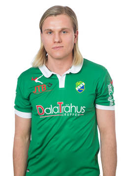 Ljungkiles Anton Snibb