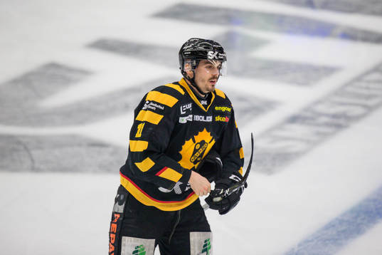 Skellefteås Henrik Hetta