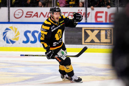 Bläddra bland fler bilder av Ishockey, SHL, Semifinal 6, Skellefteå - Djurgården