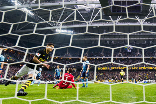 s Tarik Elyounoussi jublar
