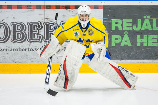 Sveriges Sebastian Trygg